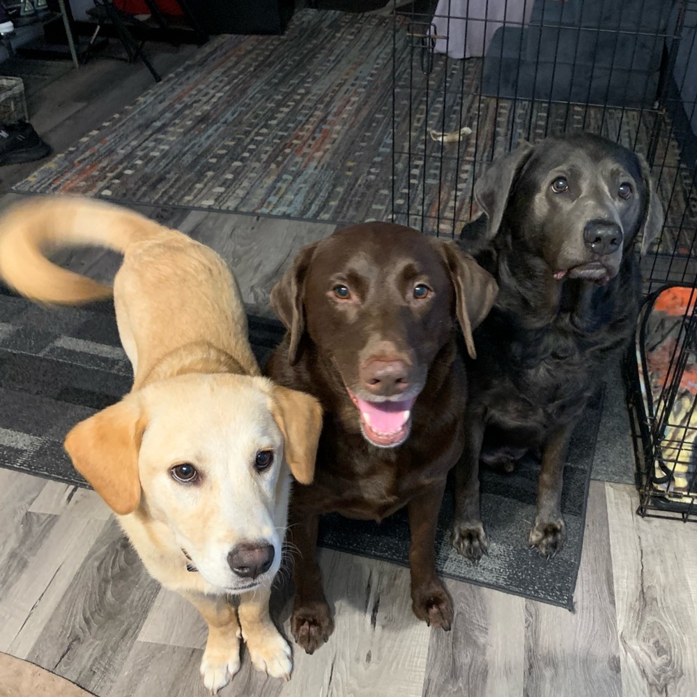 Meet your Posher, Brix, Tec & Trip